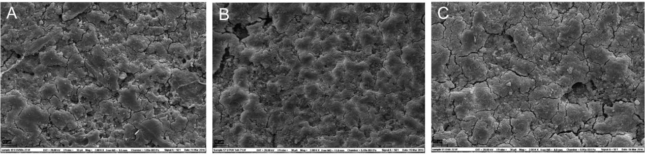 脈沖強(qiáng)光殺菌設(shè)備實驗結(jié)果